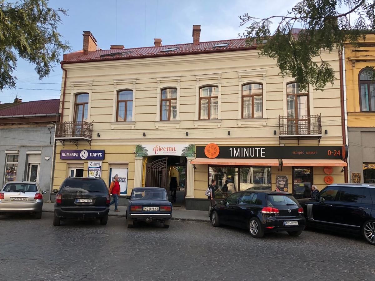 Апартаменты Wonderful flat on city center (Mukachivska 4/18) Ужгород